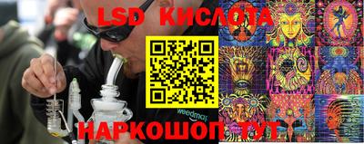 MDMA Новозыбков