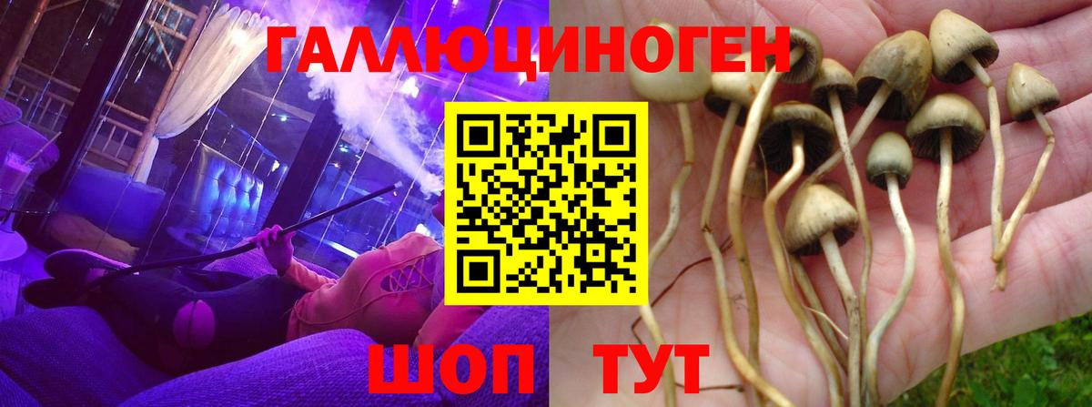 Псилоцибиновые грибы Psilocybine cubensis  Вход с VPN  Тобольск  Галлюциногенные грибы прущие грибы 