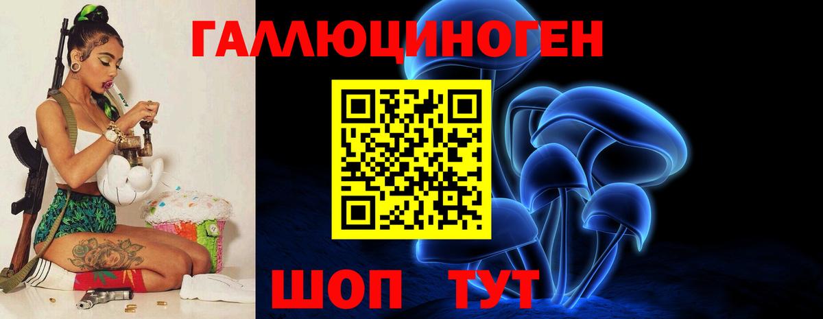 Галлюциногенные грибы Psilocybine cubensis Тобольск